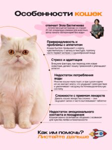 Лакомство для кошек «Cosmocat» Крем из лосося 90г
