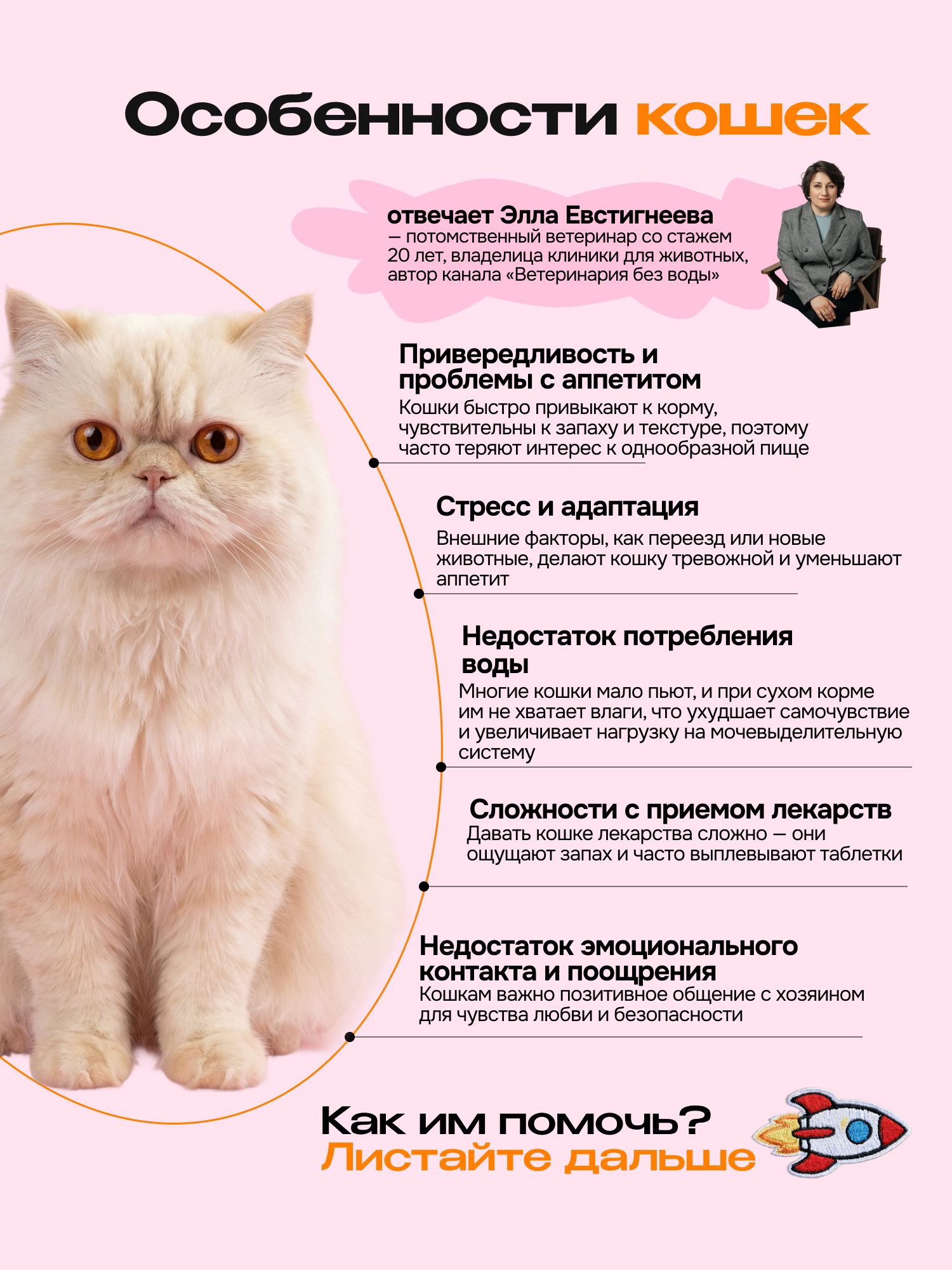 Лакомство для кошек «Cosmocat» Крем из лосося 90г