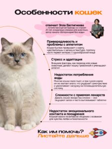 Лакомство для кошек «Cosmocat» Крем из лосося 270г