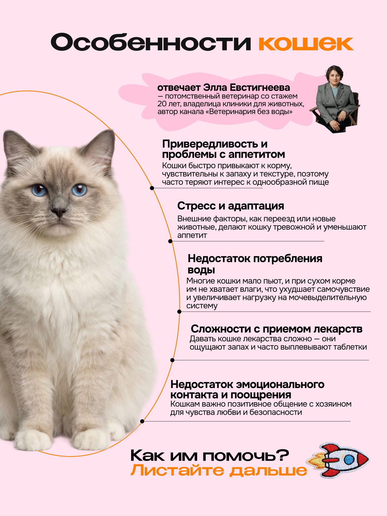 Лакомство для кошек «Cosmocat» Крем из лосося 270г