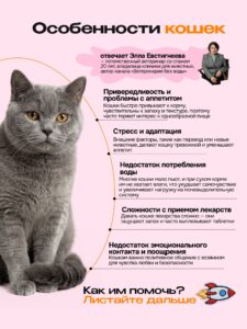 Лакомство для кошек «Cosmocat» Крем из лосося 450г