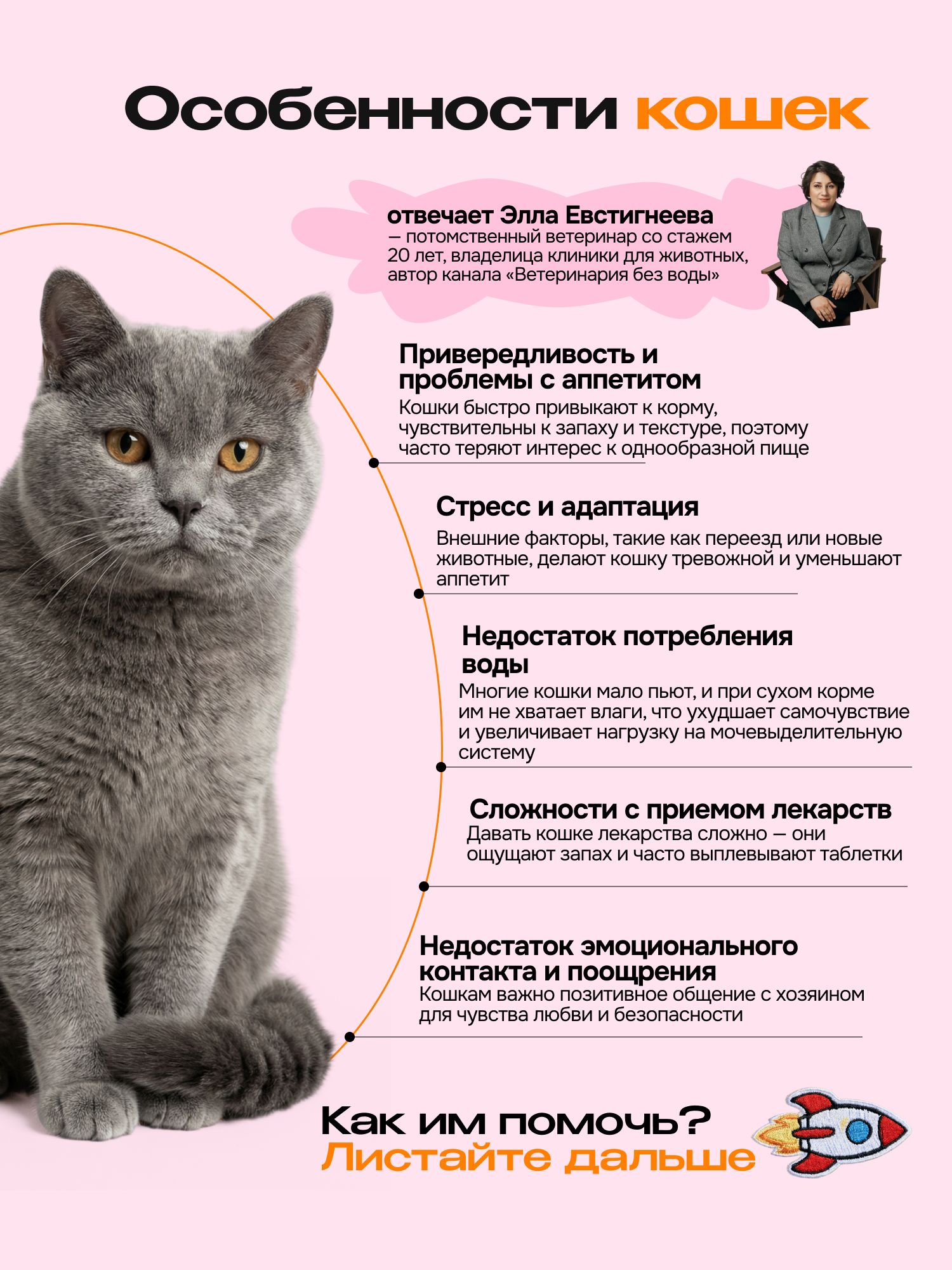 Лакомство для кошек «Cosmocat» Крем из лосося 450г