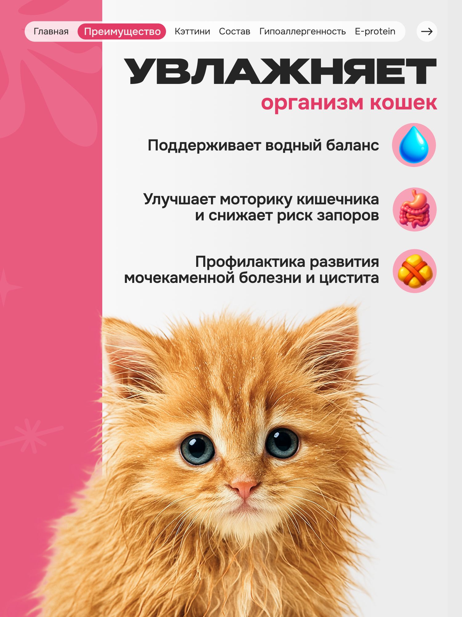 Лакомство для кошек «Cosmocat» Крем из тунца и креветки 180г