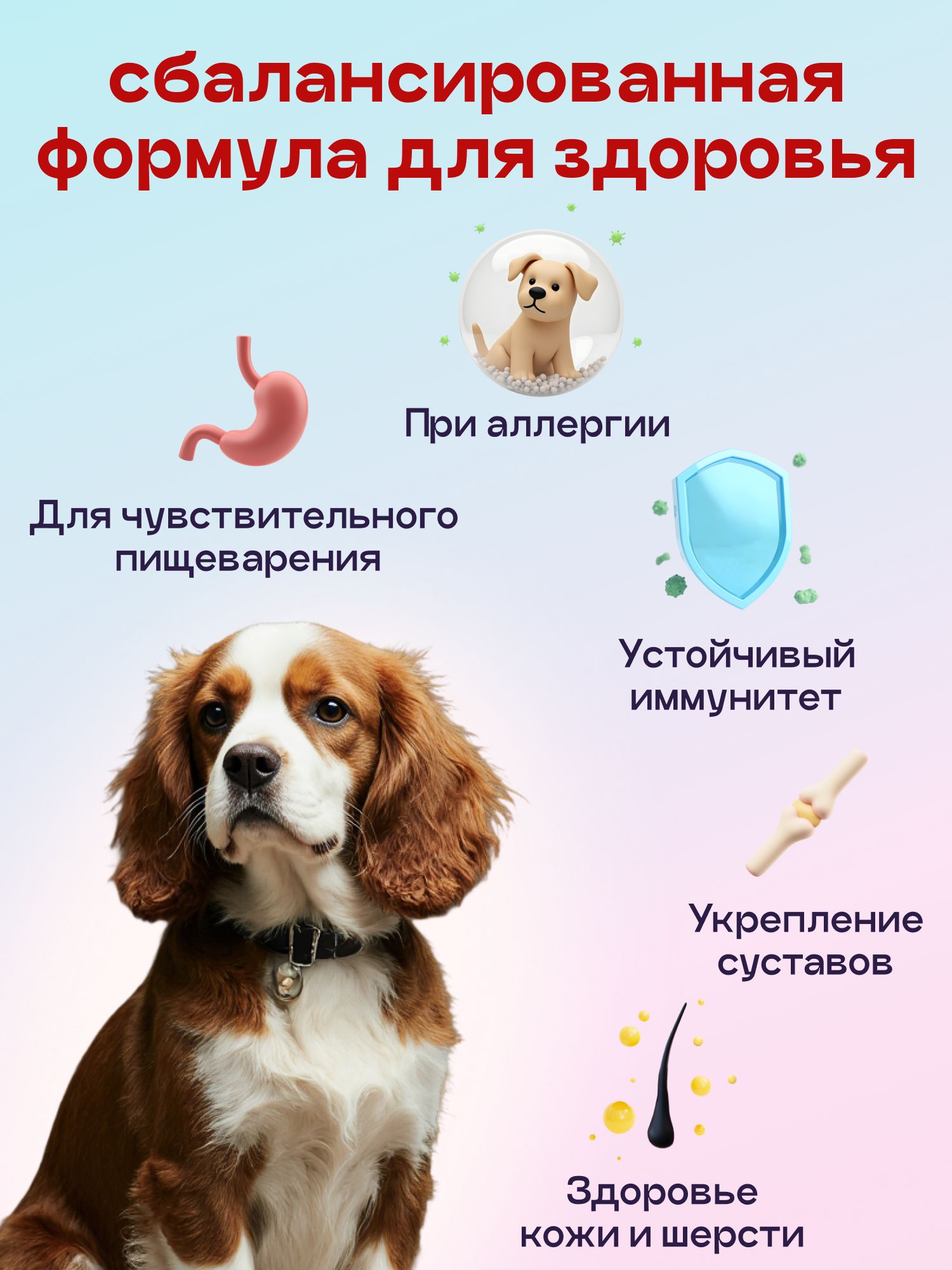 Набор кормов сухих для собак «Космобака» для мелких пород с ягненком с пробиотиком 2 кг, 4 пачки
