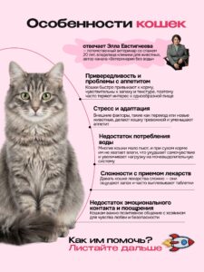 Лакомство для кошек «Cosmocat» Крем из тунца и креветки 50г