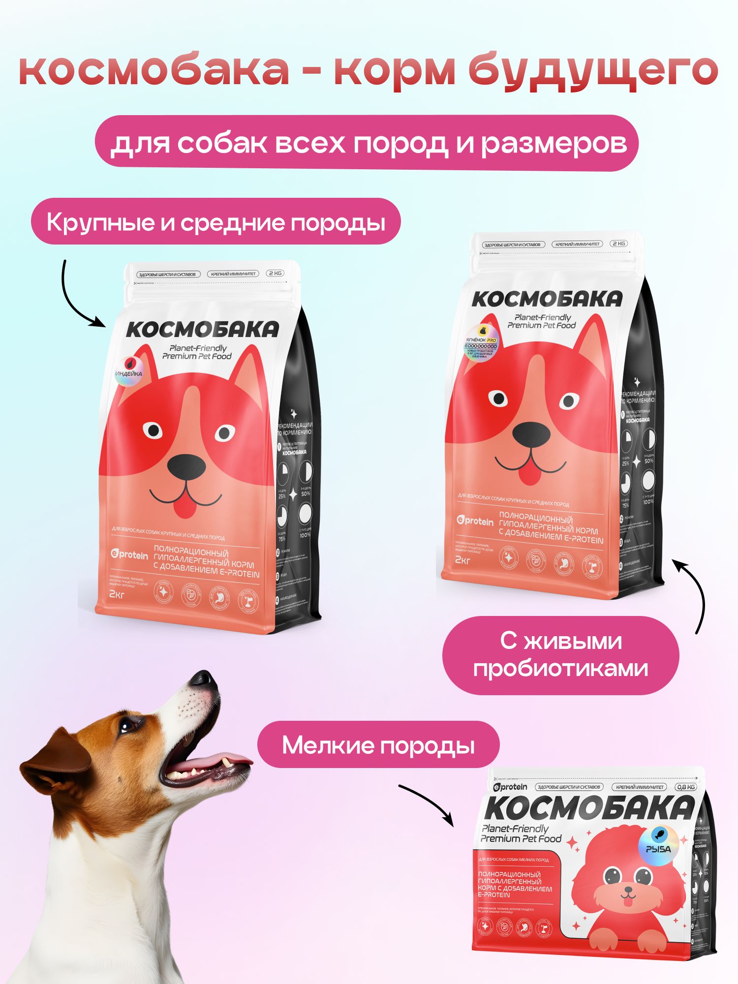 Набор кормов сухих для собак «Космобака» для мелких пород с ягненком с пробиотиком 2 кг, 6 пачек