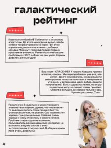 Набор кормов сухих для собак «Космобака» для крупных и средних пород с индейкой 2 кг, 2 пачки
