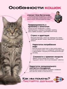 Лакомство для кошек «Cosmocat» Крем из тунца и креветки 350г