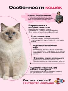 Лакомство для кошек «Cosmocat» Крем из тунца и креветки 270г
