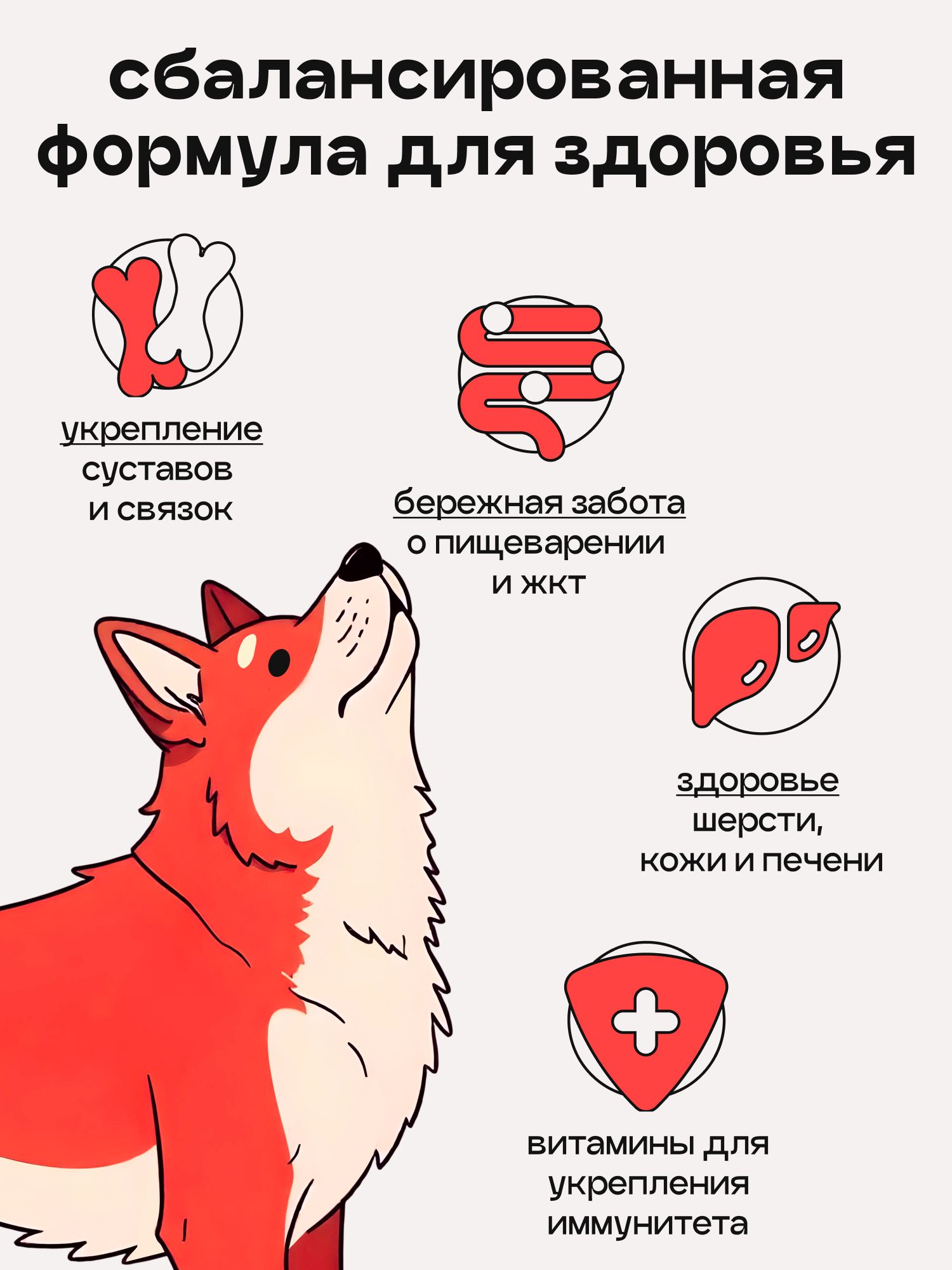 Набор кормов сухих для собак «Космобака» для крупных и средних пород с индейкой 2 кг, 6 пачек