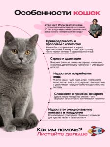 Лакомство для кошек «Cosmocat» Крем из тунца и креветки 450г