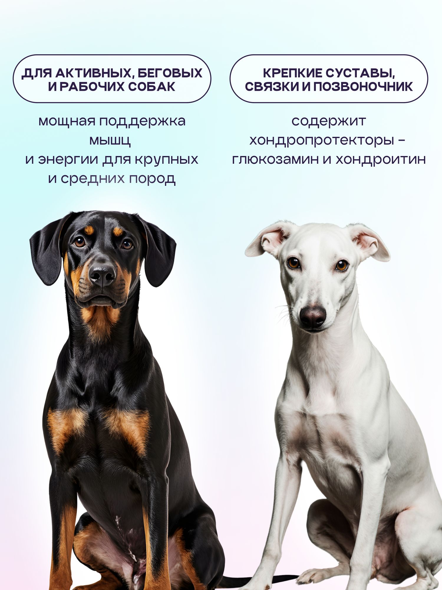 Набор кормов сухих для собак «Космобака» для крупных и средних пород с индейкой с пробиотиком 2 кг,