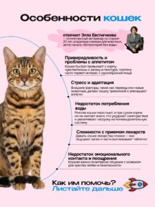 Лакомство для кошек «Cosmocat» Йогурт из трески 150г