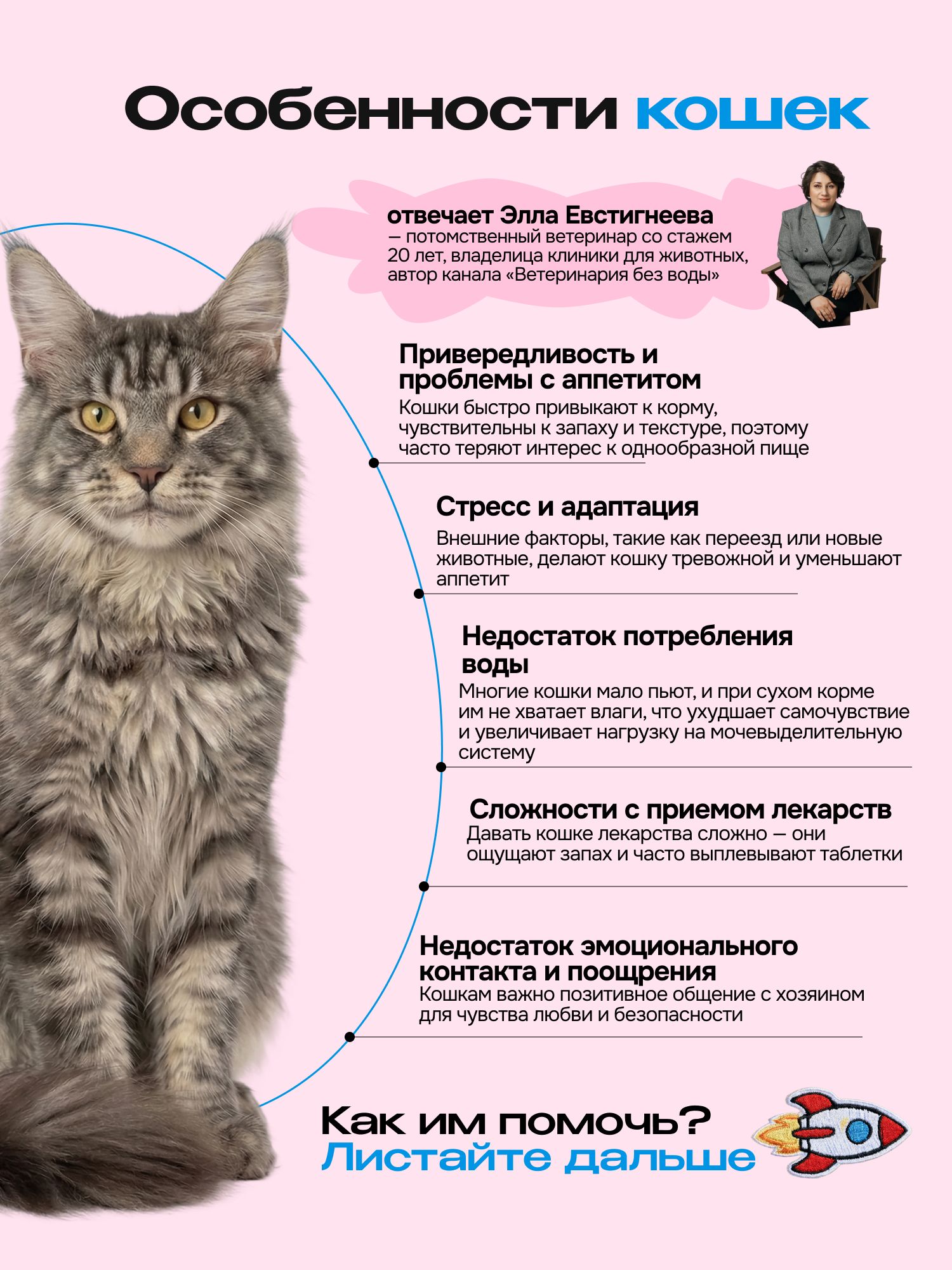 Лакомство для кошек «Cosmocat» Йогурт из трески 350г