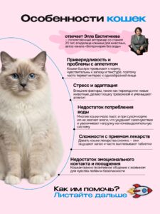 Лакомство для кошек «Cosmocat» Йогурт из трески 270г
