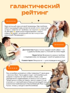 Набор кормов сухих для собак «Космобака» для мелких пород с индейкой 2 кг, 5 пачек