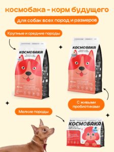 Набор кормов сухих для собак «Космобака» для мелких пород с индейкой 2 кг, 5 пачек