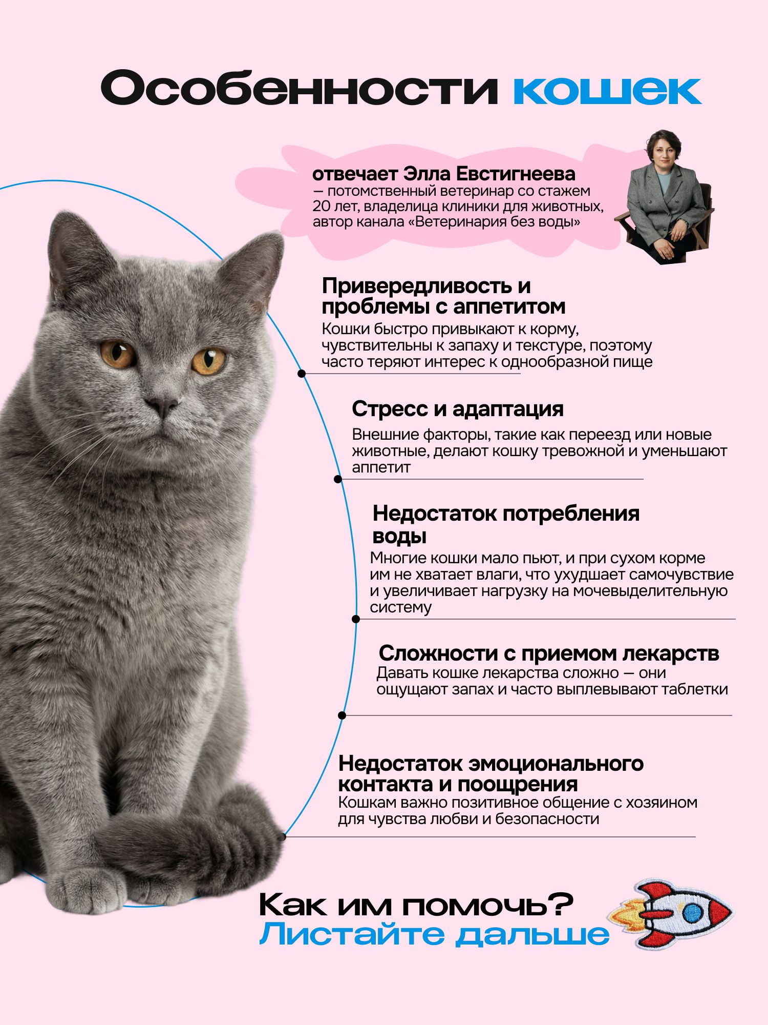Лакомство для кошек «Cosmocat» Йогурт из трески 450г