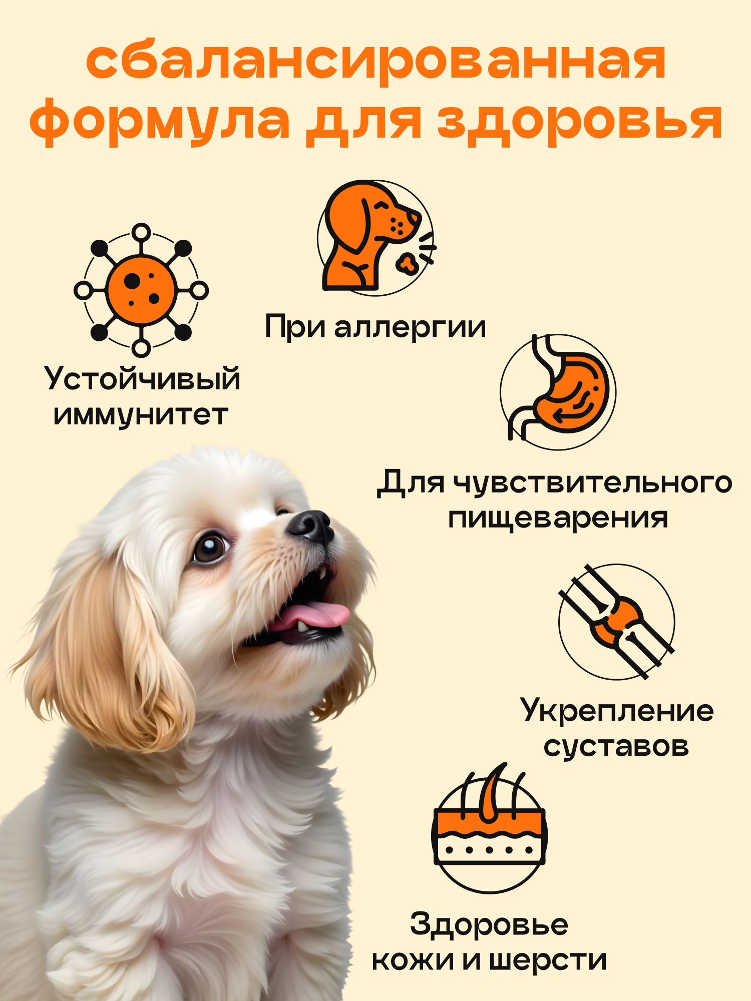 Набор кормов сухих для собак «Космобака» для мелких пород с индейкой 2 кг, 6 пачек