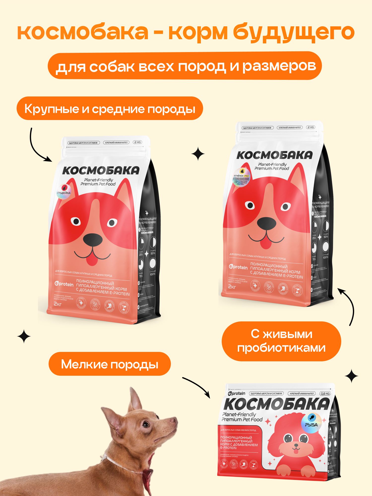 Набор кормов сухих для собак «Космобака» для мелких пород с индейкой 2 кг, 6 пачек