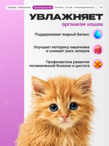 Лакомство для кошек «Cosmocat» ассорти (пауч) 3шт