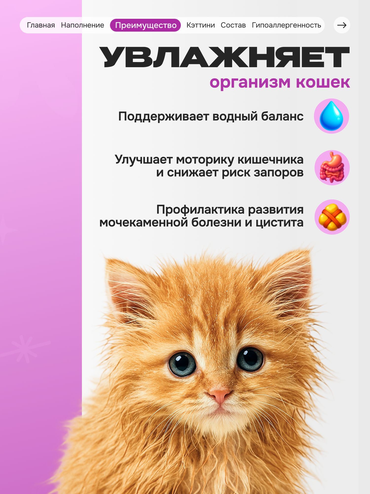 Лакомство для кошек «Cosmocat» ассорти (пауч) 3шт