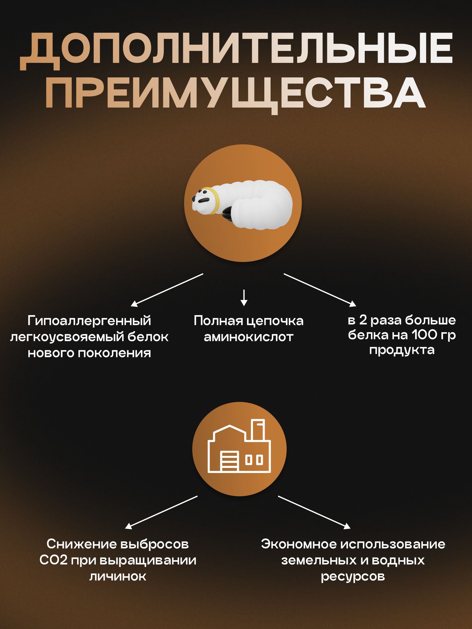 Набор кормов сухих для собак «Cosmodog» для крупных и средних пород с говядиной 2 кг, 4 пачки