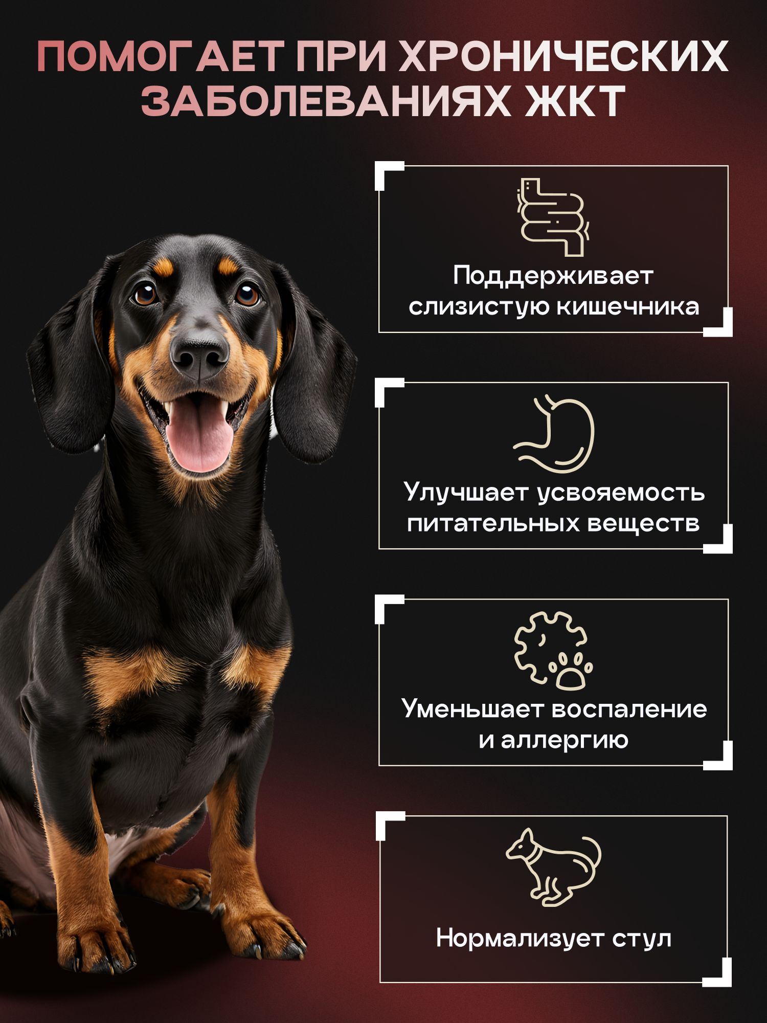 Набор кормов сухих для собак «Cosmodog» для мелких пород с говядиной с пробиотиком 2 кг, 4 пачки