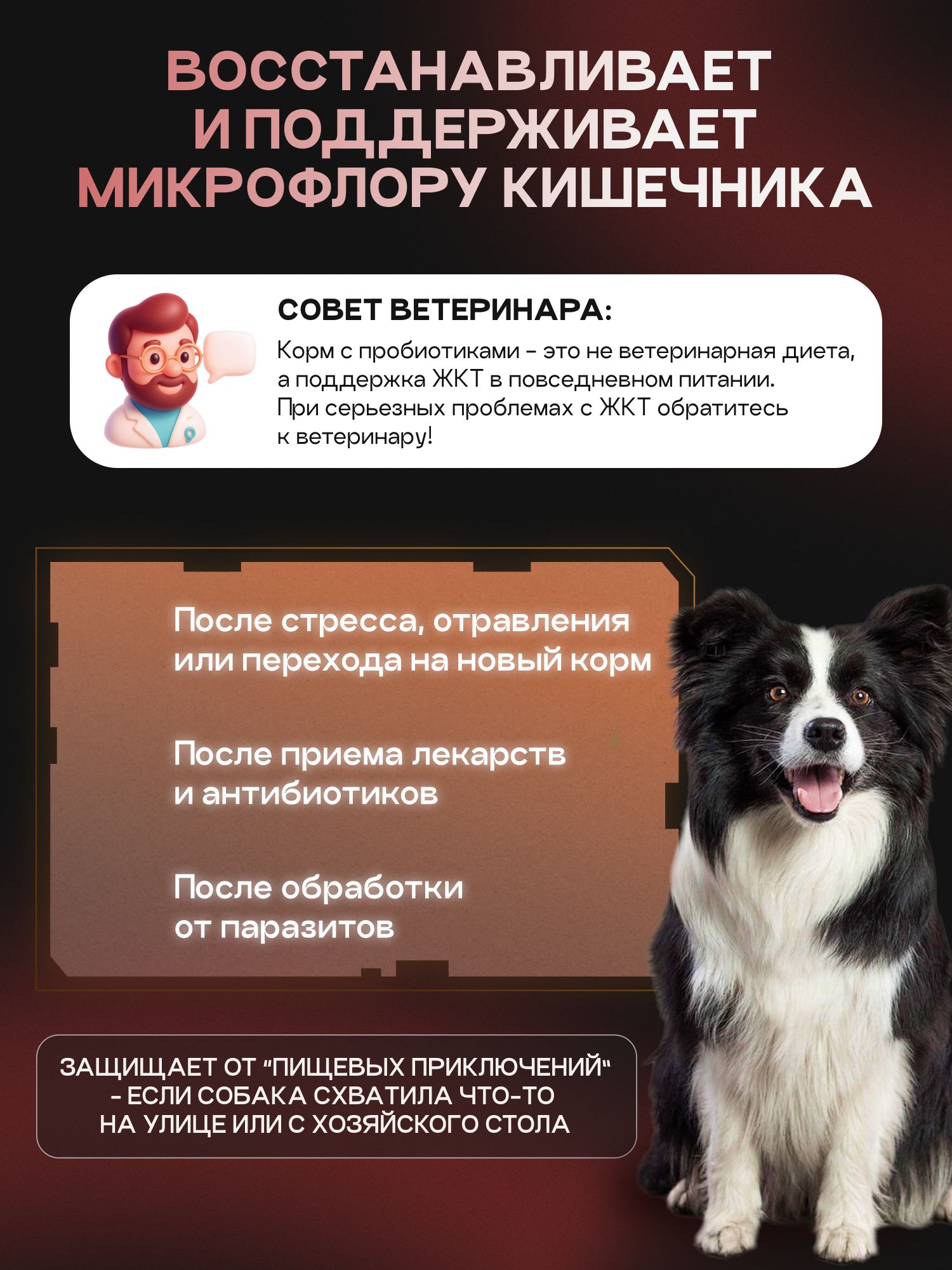 Набор кормов сухих для собак «Cosmodog» для крупных и средних пород с говядиной с пробиотиком 2 кг,