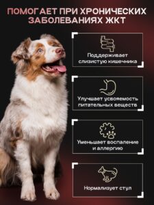 Набор кормов сухих для собак «Cosmodog» для крупных и средних пород с говядиной с пробиотиком 2 кг,