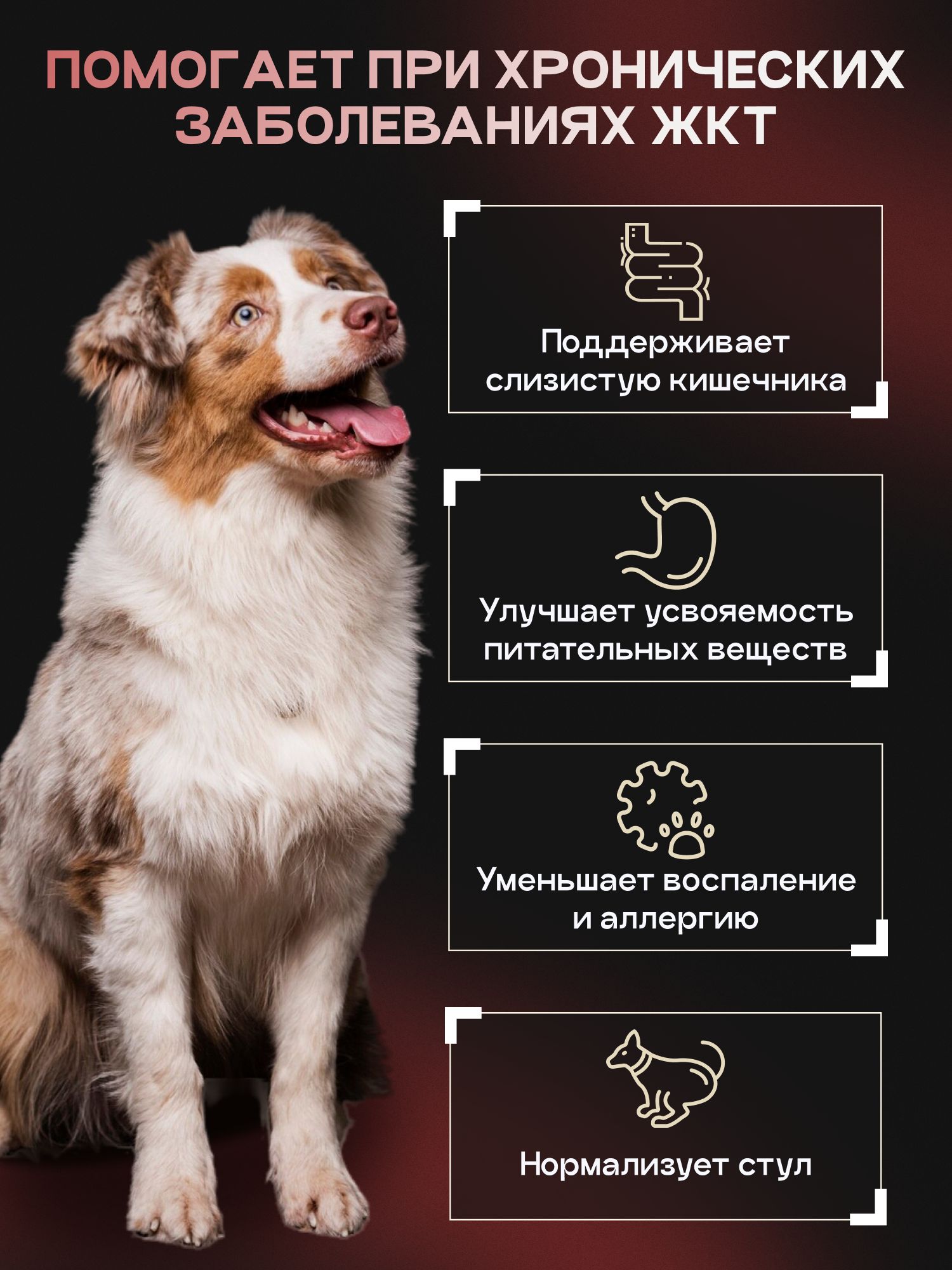 Набор кормов сухих для собак «Cosmodog» для крупных и средних пород с говядиной с пробиотиком 2 кг,
