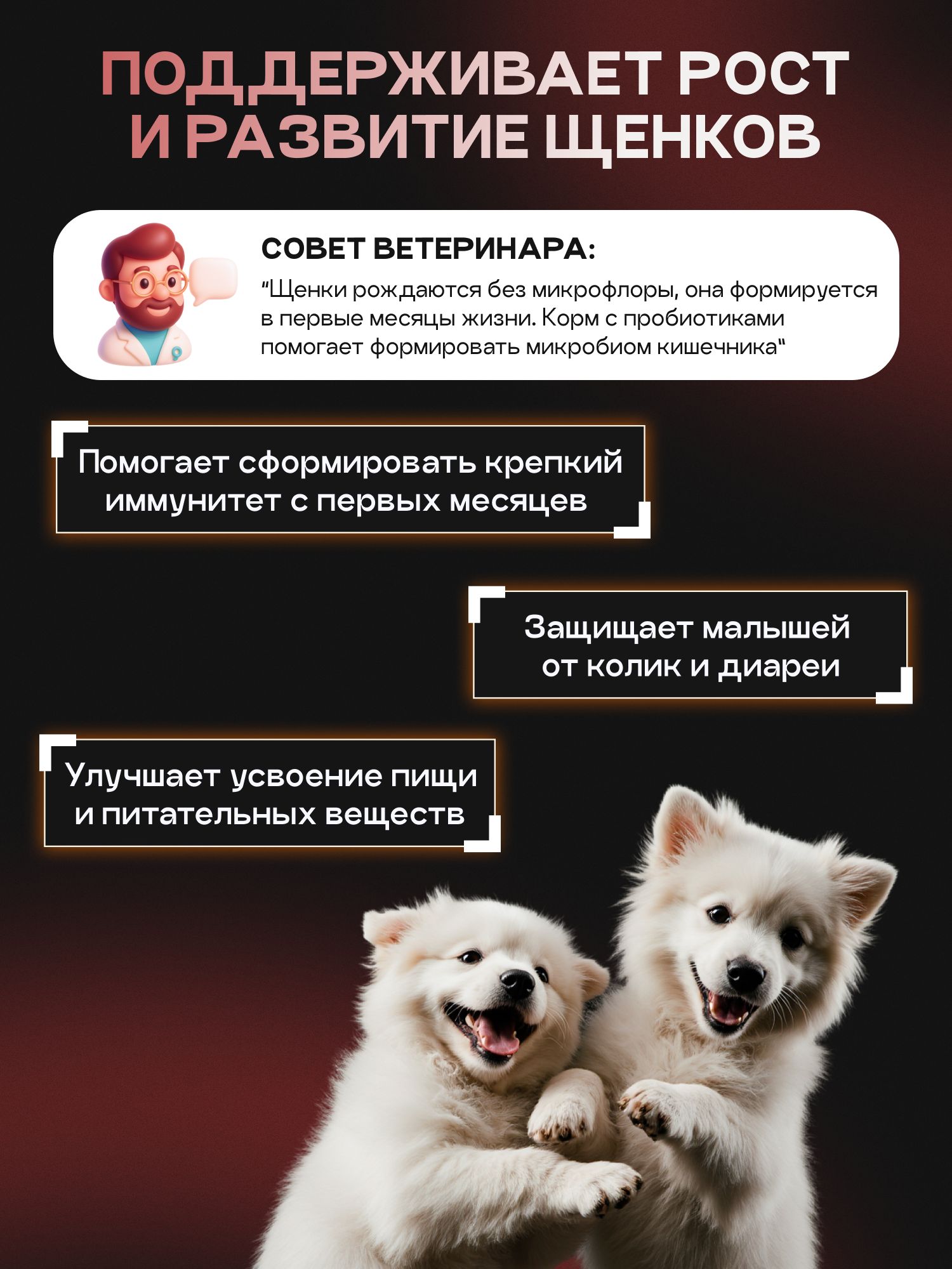 Набор кормов сухих для собак «Cosmodog» для крупных и средних пород с говядиной с пробиотиком 2 кг,