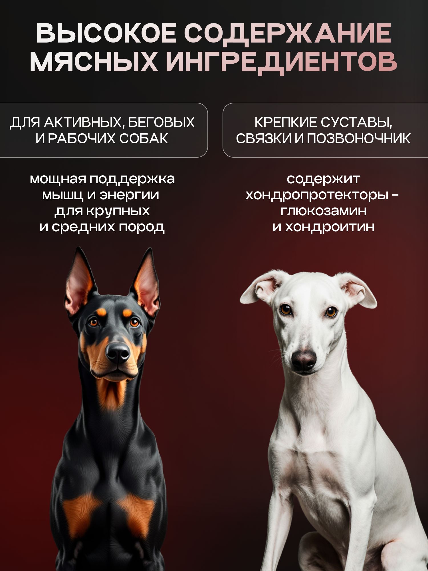Набор кормов сухих для собак «Cosmodog» для крупных и средних пород с говядиной с пробиотиком 2 кг,