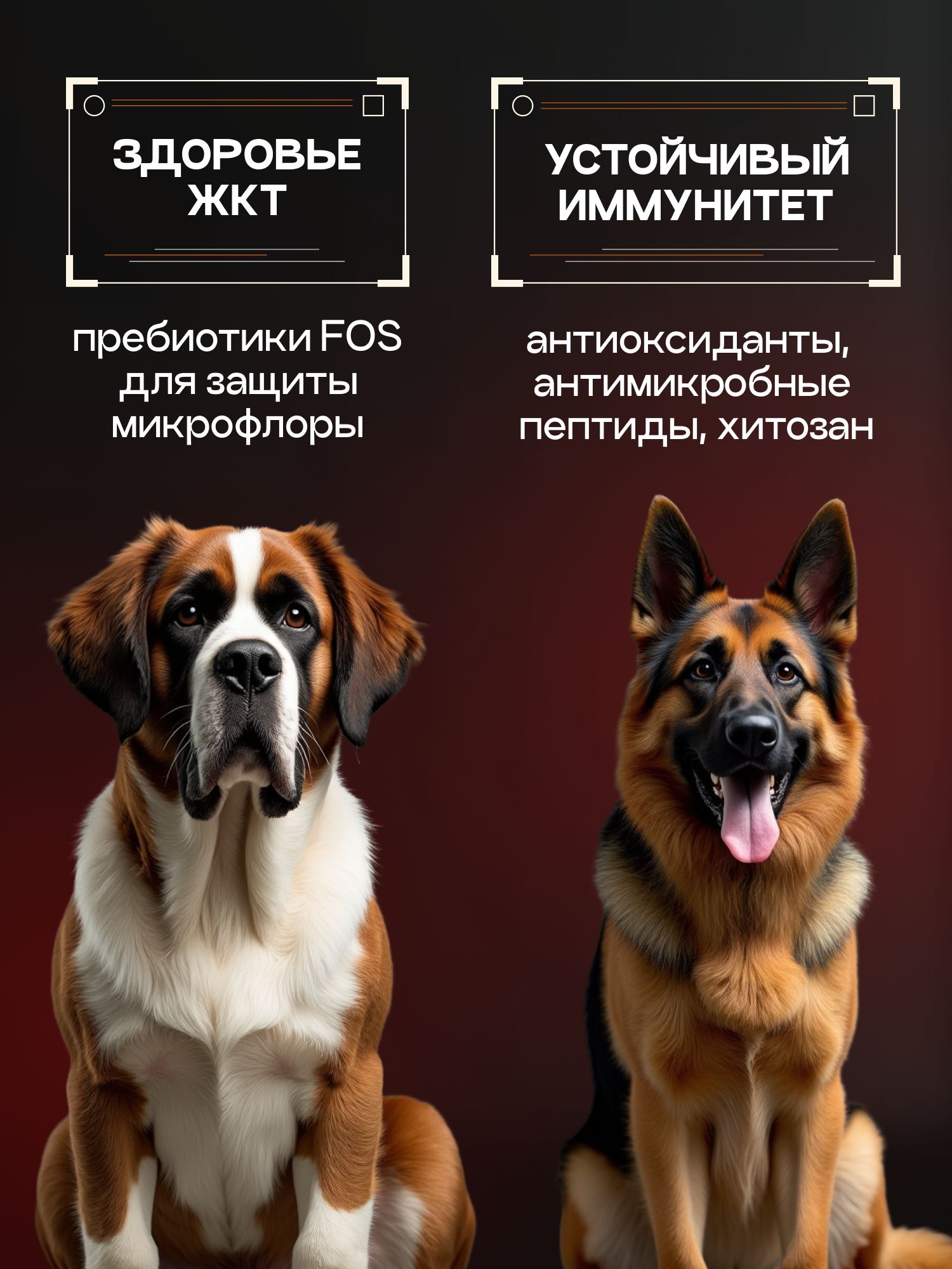 Набор кормов сухих для собак «Cosmodog» для крупных и средних пород с говядиной с пробиотиком 2 кг,