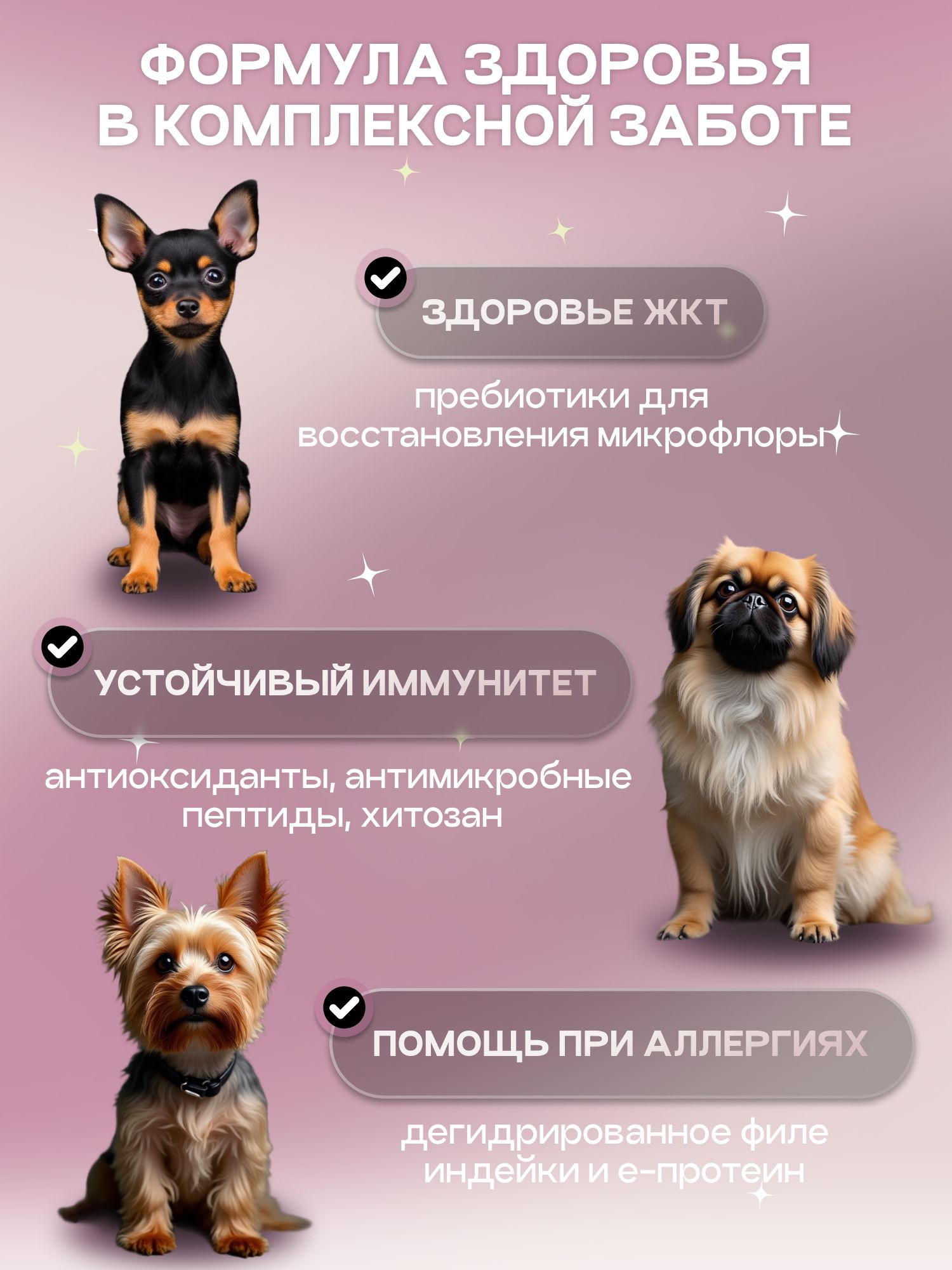 Набор кормов сухих для собак «Cosmodog» для мини пород с говядиной 2 кг, 2 пачки