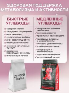 Набор кормов сухих для собак «Cosmodog» для мини пород с говядиной 2 кг, 2 пачки