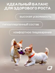 Набор кормов сухих для собак «Cosmodog» для щенков с говядиной 2 кг, 6 пачек