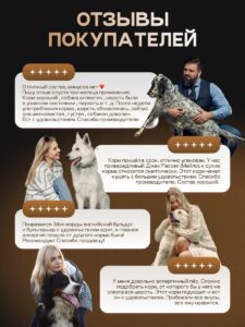 Набор кормов сухих для собак «Cosmodog» для крупных и средних пород с рыбой 2 кг, 2 пачки