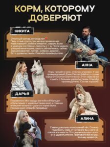 Набор кормов сухих для собак «Cosmodog» для крупных и средних пород с ягненком с пробиотиком 2 кг, 2