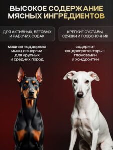 Набор кормов сухих для собак «Cosmodog» для крупных и средних пород с ягненком с пробиотиком 2 кг, 6