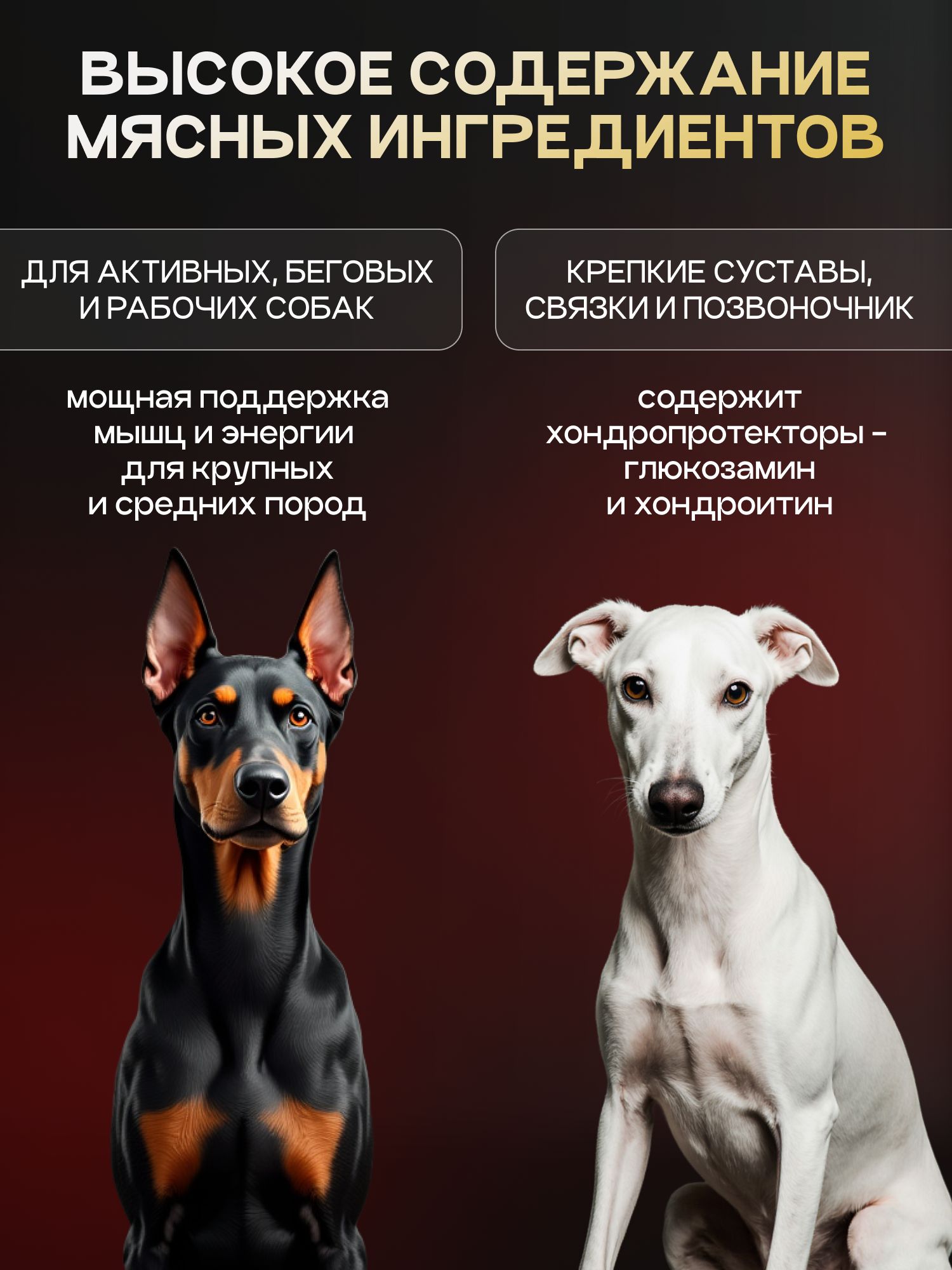 Набор кормов сухих для собак «Cosmodog» для крупных и средних пород с ягненком с пробиотиком 2 кг, 6