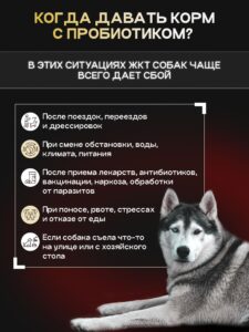 Набор кормов сухих для собак «Cosmodog» для крупных и средних пород с ягненком 10 кг + с пробиотиком