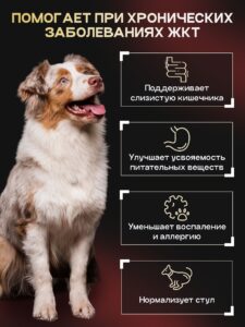 Набор кормов сухих для собак «Cosmodog» для крупных и средних пород с ягненком 5 кг + с пробиотиком
