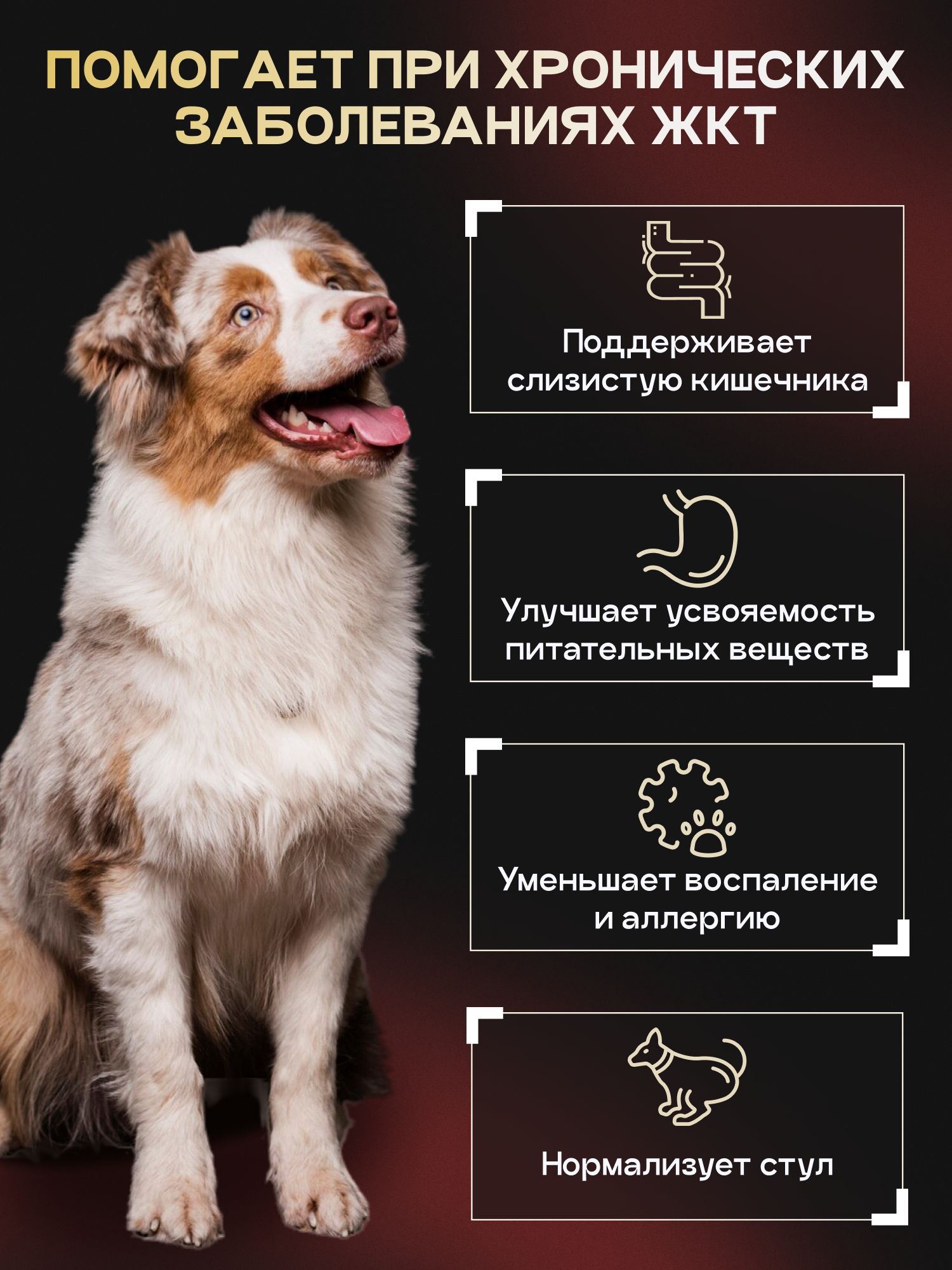 Набор кормов сухих для собак «Cosmodog» для крупных и средних пород с ягненком 5 кг + с пробиотиком