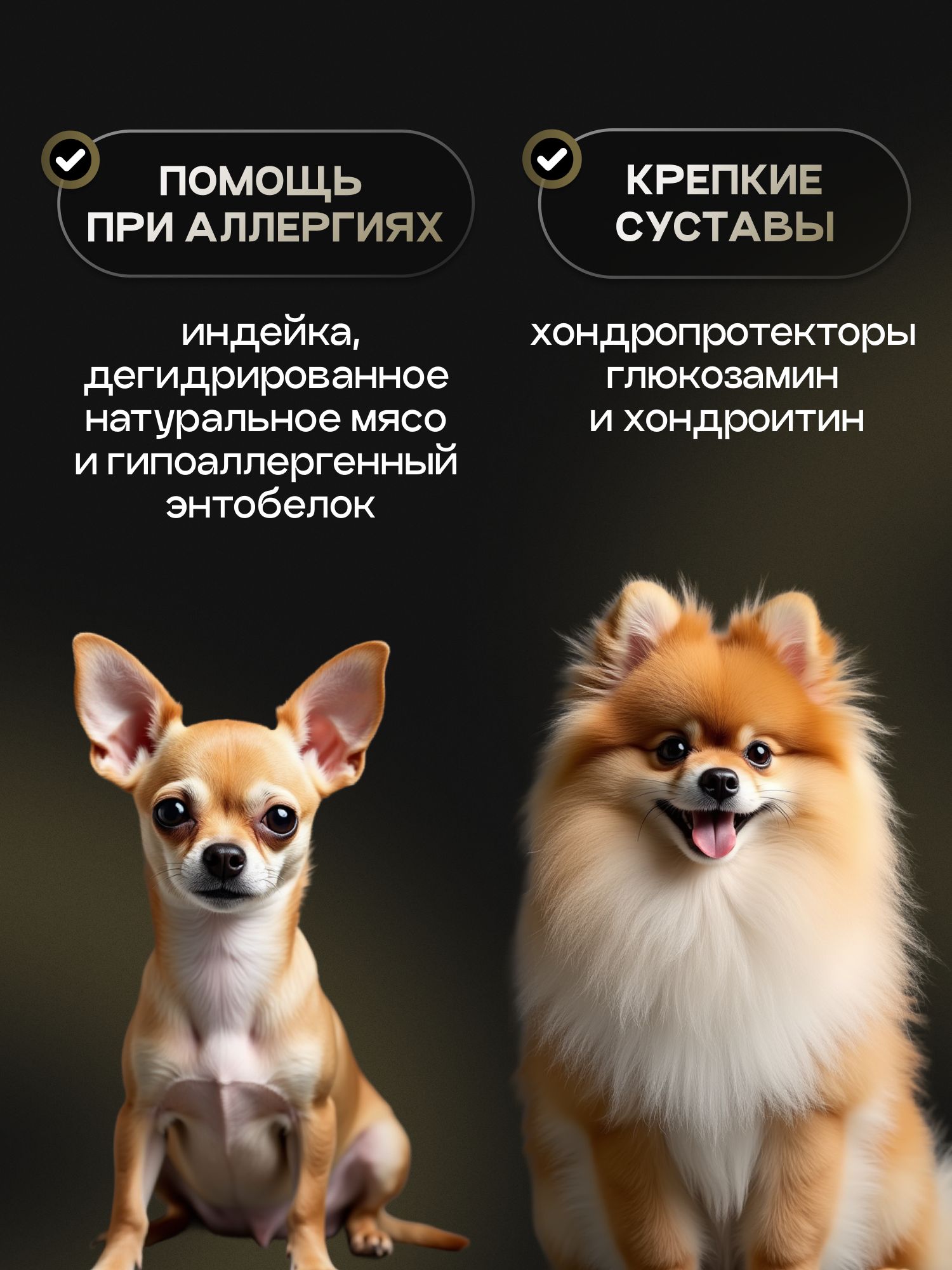 Набор кормов сухих для собак «Cosmodog» для мелких пород с ягненком 2 кг, 3 пачки