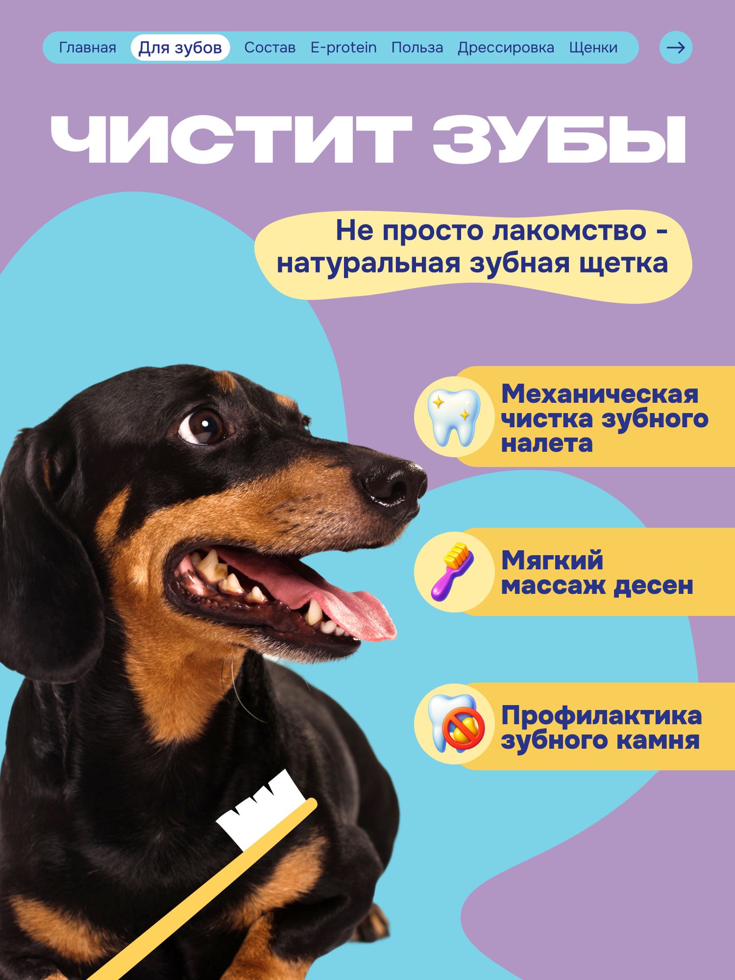 Лакомство для собак «Cosmodog» Говяжья зубная палочка 250г