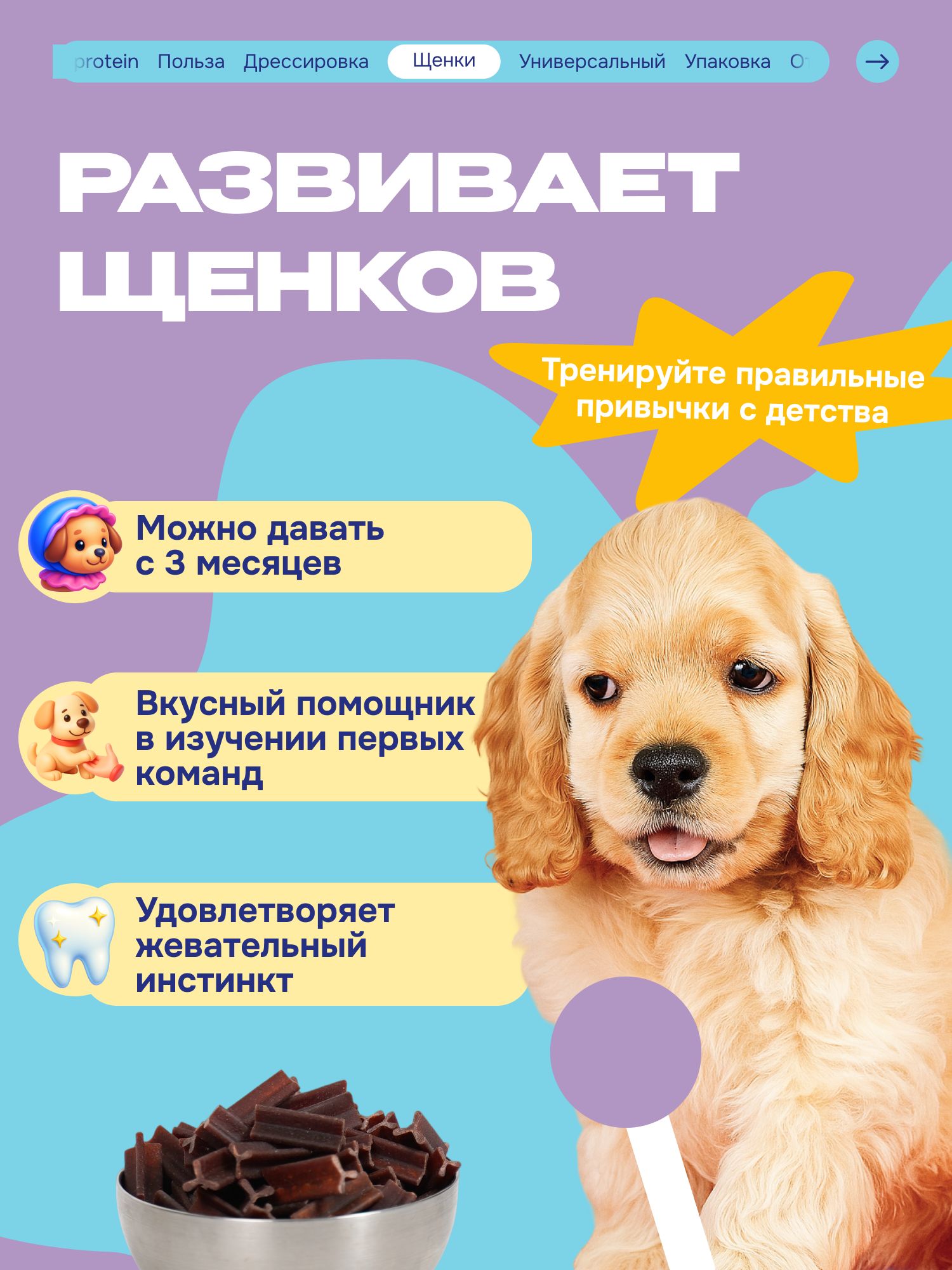 Лакомство для собак «Cosmodog» Говяжья зубная палочка 250г