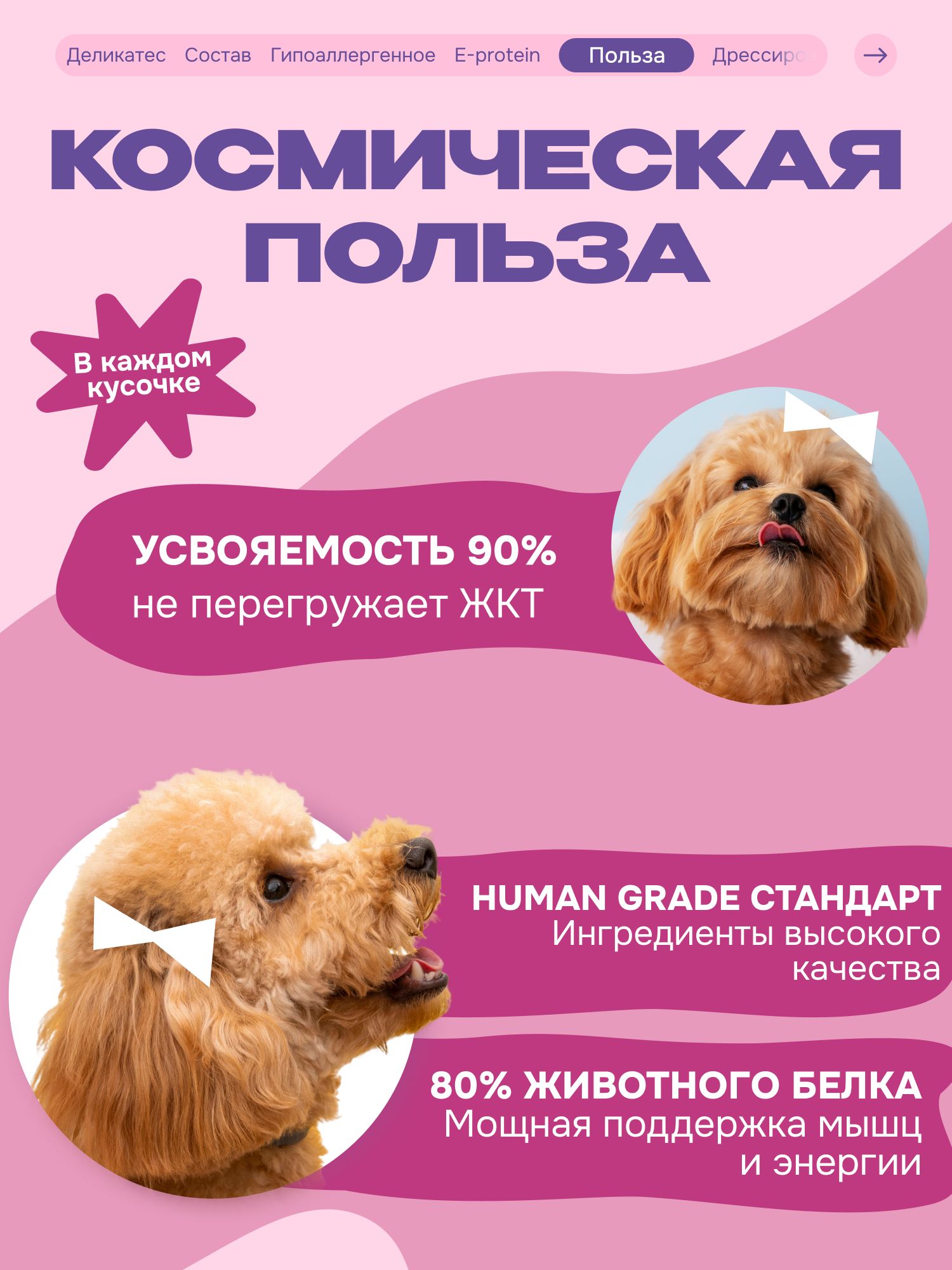 Лакомство для собак «Cosmodog» Суши из кролика 100г