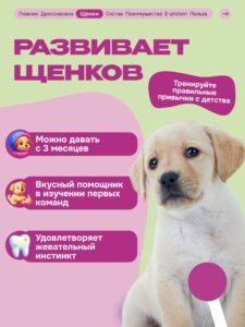 Лакомство для собак «Cosmodog» Филе утки 100г