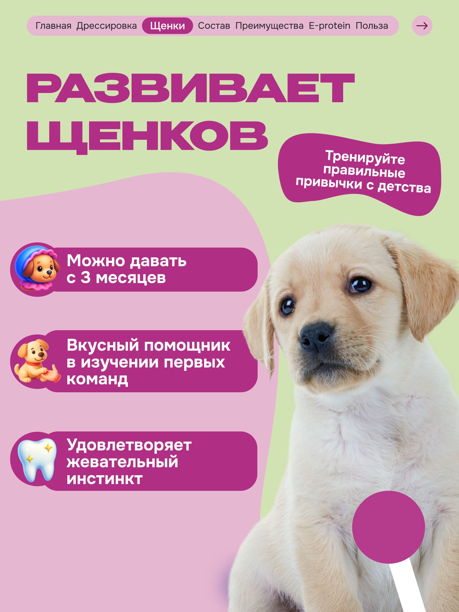 Лакомство для собак «Cosmodog» Филе утки 100г